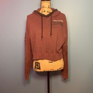 Small Purple Hollister  hoodies crop sweatshirt